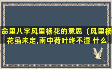 命里八字风里杨花的意思（风里杨花虽未定,雨中荷叶终不湿 什么意思）